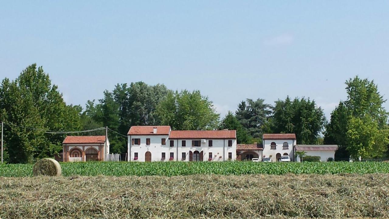 La Casa Delle Rondini Bed & Breakfast Roncoferraro Eksteriør bilde